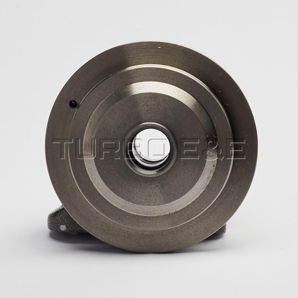 Carcasa CHRA BH-G8-11 pentru turbine model DSGT2260S/DSGT-GT2260S
